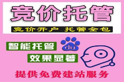 探索竞价推广SEM托管的奥秘——一则行业领先企业的案例